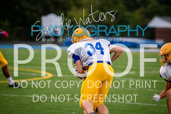 Blue-Gold_2019-453