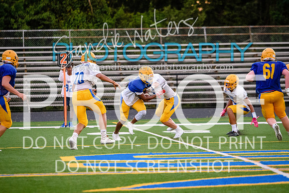 Blue-Gold_2019-464