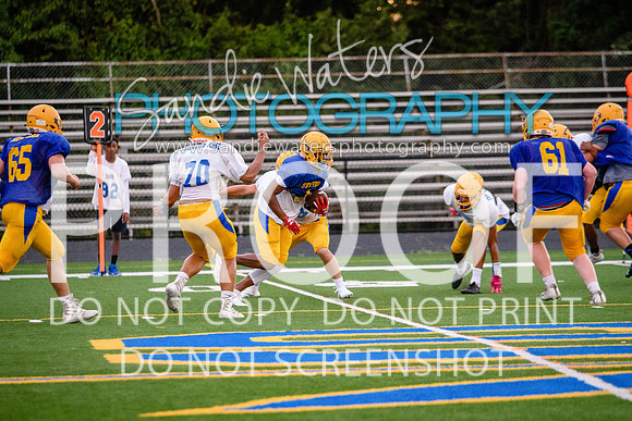 Blue-Gold_2019-465