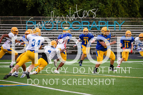 Blue-Gold_2019-471
