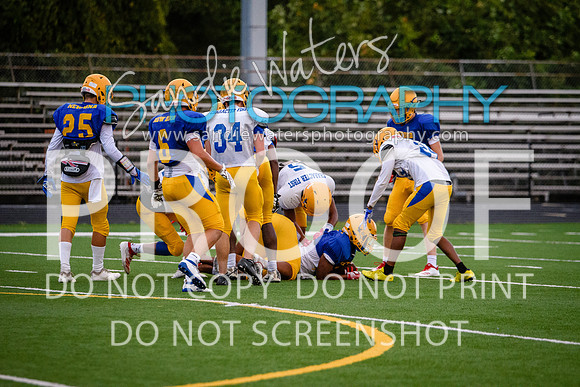 Blue-Gold_2019-475