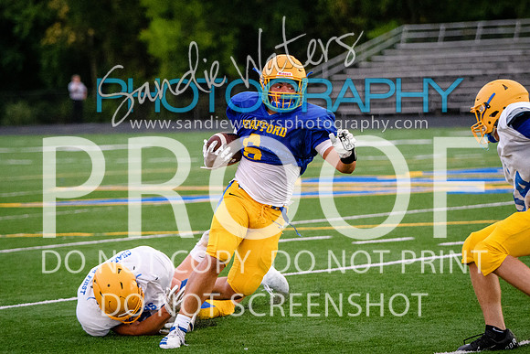 Blue-Gold_2019-482