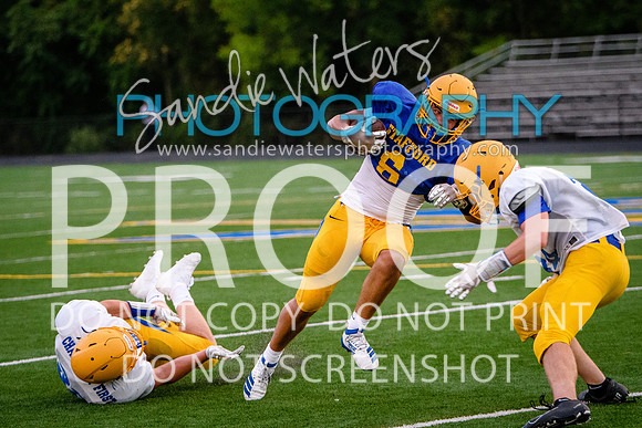 Blue-Gold_2019-483