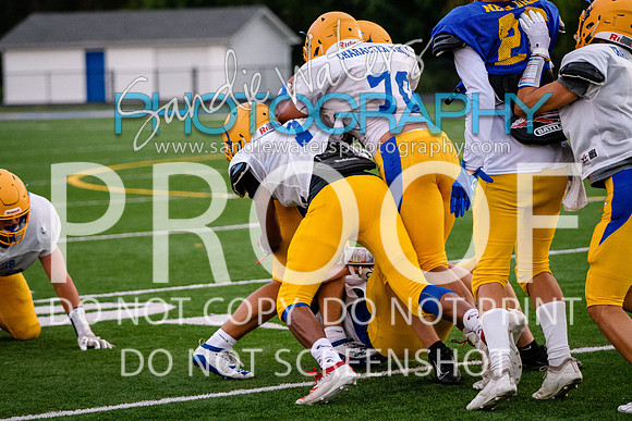 Blue-Gold_2019-486