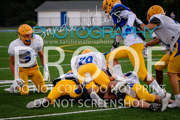 Blue-Gold_2019-487
