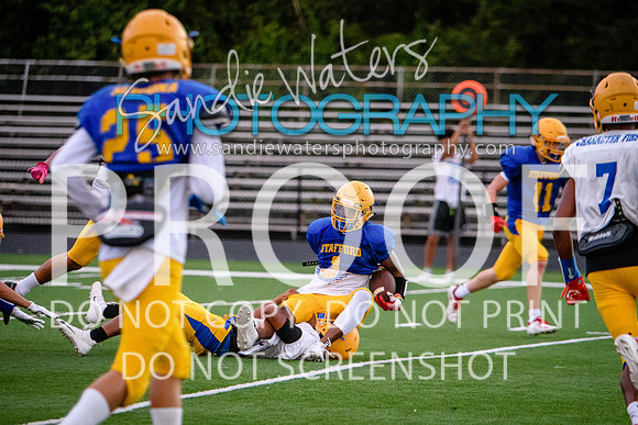 Blue-Gold_2019-491