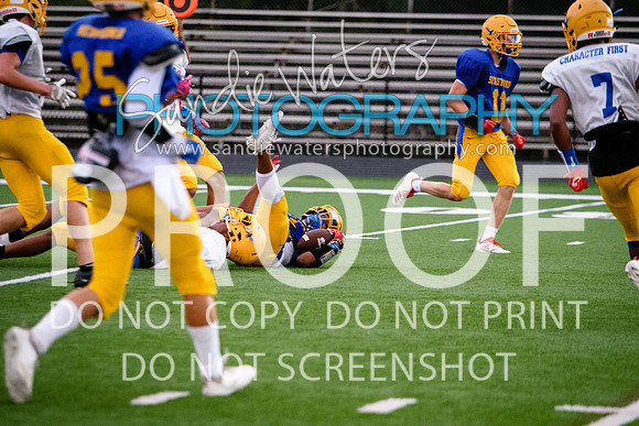 Blue-Gold_2019-493