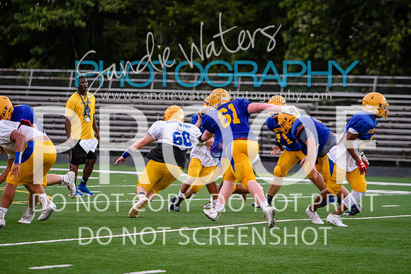 Blue-Gold_2019-494