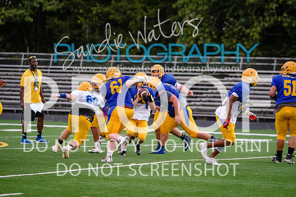 Blue-Gold_2019-495