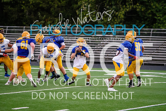 Blue-Gold_2019-496