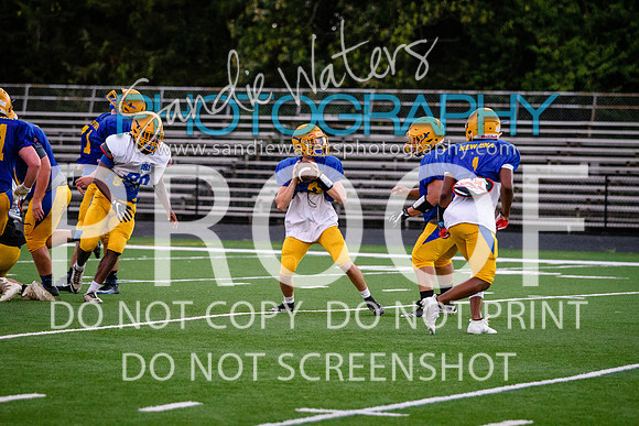 Blue-Gold_2019-498