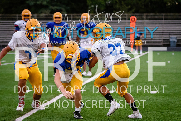 Blue-Gold_2019-505