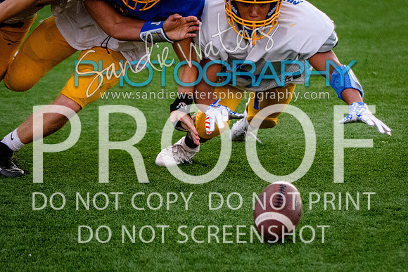 Blue-Gold_2019-507