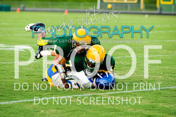 20160829-SHSF_Woodbridge-113