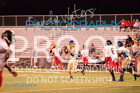 DSC_1337