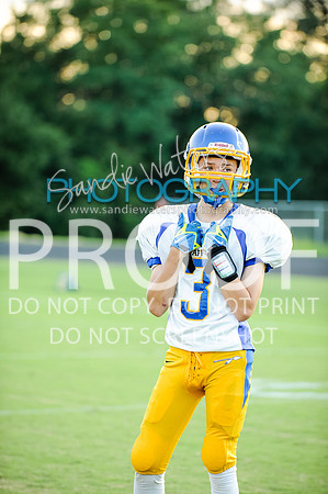 20160829-SHSF_Woodbridge-52