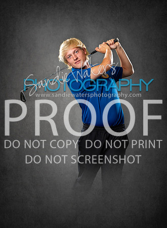 Willis-130_bl_g