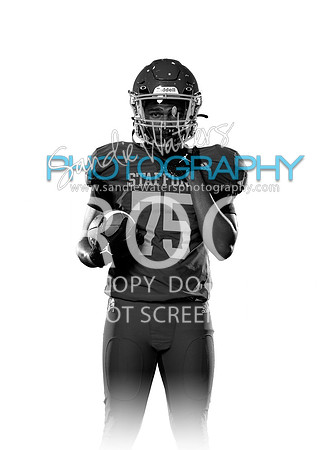 S-V-75-Ross-104-bw