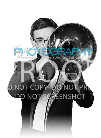 Sipe_150_bw