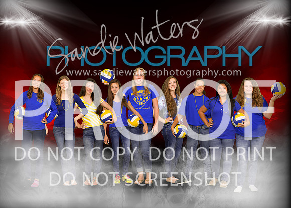 Volleyball freshman