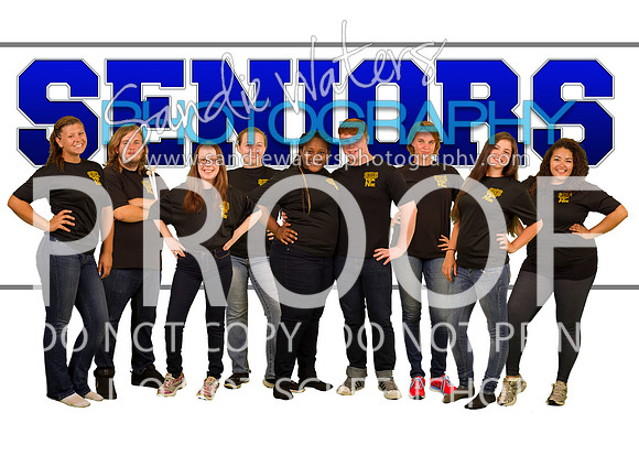 Seniors - Band 2