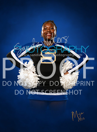 Gray-109bc