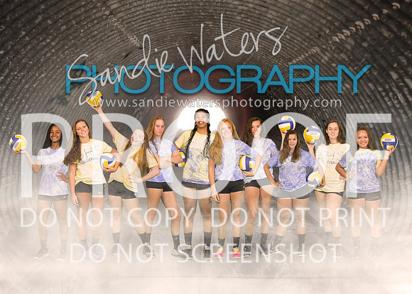 Volleyball jv