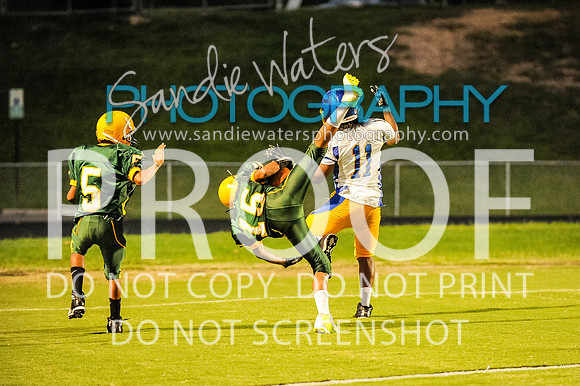 20160829-SHSF_Woodbridge-359