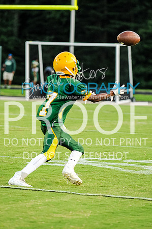 20160829-SHSF_Woodbridge-228