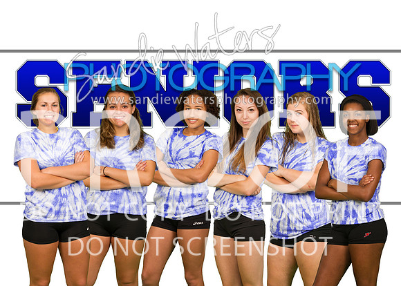 Seniors - Volleyball