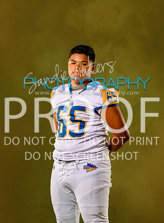 65-JV-101-gold