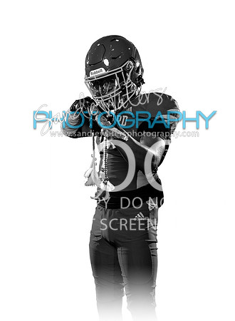 S-V-1-Gray-112-bw